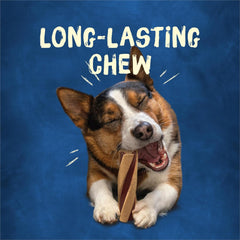 Purina Busy with Beggin' Twist'd Small/Medium Dog Treats