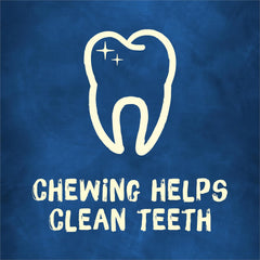 Purina Busy with Beggin' Twist'd Small/Medium Dog Treats