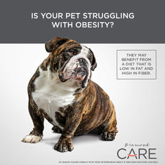 Diamond CARE Specialized Grain-Free Formulation Adult Dry Dog Food to Support Healthy Weight Management Made Lamb Protein, Probiotics and High Fiber to Aid in Weight Control