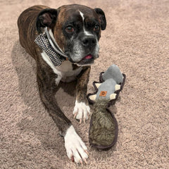 SPOT Dura-Fused Hemp Friends - Dog Toy Made with Hemp Material, Fused with Tricot for Durablity, with Furry Plush Tail and Squeaker, Great for Light to Moderate Chewers - 18" Assorted Styles