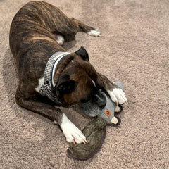 SPOT Dura-Fused Hemp Friends - Dog Toy Made with Hemp Material, Fused with Tricot for Durablity, with Furry Plush Tail and Squeaker, Great for Light to Moderate Chewers - 18" Assorted Styles