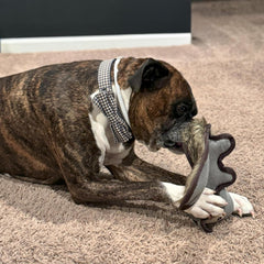 SPOT Dura-Fused Hemp Friends - Dog Toy Made with Hemp Material, Fused with Tricot for Durablity, with Furry Plush Tail and Squeaker, Great for Light to Moderate Chewers - 18" Assorted Styles