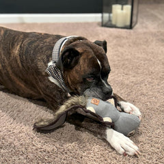 SPOT Dura-Fused Hemp Friends - Dog Toy Made with Hemp Material, Fused with Tricot for Durablity, with Furry Plush Tail and Squeaker, Great for Light to Moderate Chewers - 18" Assorted Styles