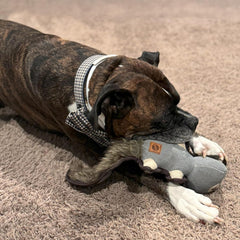 SPOT Dura-Fused Hemp Friends - Dog Toy Made with Hemp Material, Fused with Tricot for Durablity, with Furry Plush Tail and Squeaker, Great for Light to Moderate Chewers - 18" Assorted Styles