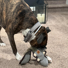 SPOT Dura-Fused Hemp Friends - Dog Toy Made with Hemp Material, Fused with Tricot for Durablity, with Furry Plush Tail and Squeaker, Great for Light to Moderate Chewers - 18" Assorted Styles