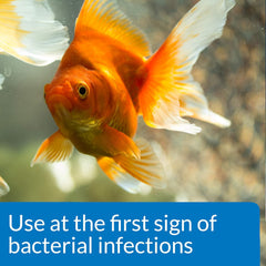 API FIN & BODY CURE Freshwater Fish Powder Medication