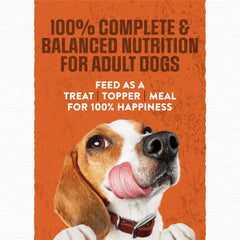 Purina Moist and Meaty Burger With Cheddar Cheese Flavor Dry Soft Dog Food Pouches - (Pack of 4) 12 ct. Pouches