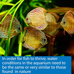 API 5-IN-1 TEST STRIPS Freshwater and Saltwater Aquarium Test Strips