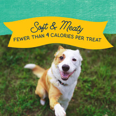 Natural Balance Limited Ingredient Mini-Rewards Grain-Free, Training Treats for Dogs | 5.3-oz. Canister