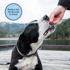 Natural Balance Limited Ingredient Mini-Rewards Grain-Free, Training Treats for Dogs | 5.3-oz. Canister