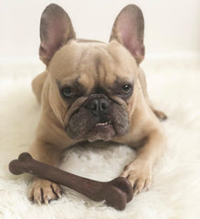 SPOT Bam-Bones Bone - Made with Strong Bamboo Fiber, Durable Long Lasting Dog Chew for Light to Moderate Chewers, Great Toy for Adult Dogs & Teething Puppies Under 25lbs