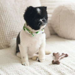 SPOT Bam-Bones Wishbone - Made with Strong Bamboo Fiber, Durable Long Lasting Dog Chew for Light to Moderate Chewers, Great Toy for Adult Dogs & Teething Puppies Under 30lbs