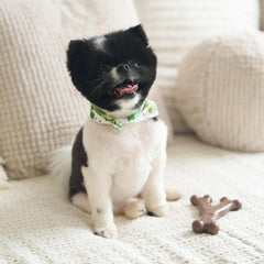 SPOT Bam-Bones Wishbone - Made with Strong Bamboo Fiber, Durable Long Lasting Dog Chew for Light to Moderate Chewers, Great Toy for Adult Dogs & Teething Puppies Under 30lbs