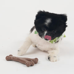 SPOT Bam-Bones Wishbone - Made with Strong Bamboo Fiber, Durable Long Lasting Dog Chew for Light to Moderate Chewers, Great Toy for Adult Dogs & Teething Puppies Under 30lbs