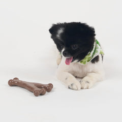 SPOT Bam-Bones Wishbone - Made with Strong Bamboo Fiber, Durable Long Lasting Dog Chew for Light to Moderate Chewers, Great Toy for Adult Dogs & Teething Puppies Under 30lbs