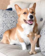 SPOT Bam-Bones Wishbone - Made with Strong Bamboo Fiber, Durable Long Lasting Dog Chew for Light to Moderate Chewers, Great Toy for Adult Dogs & Teething Puppies Under 30lbs