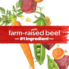 Beneful IncrediBites Pate Wet Dog Food for Small Dogs with Chicken and Bacon Flavor in a Savory Gravy - (Pack of 12) 3.5 oz. Cans