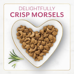 Purina Fancy Feast Dry Cat Food Filet Mignon Flavor with Seafood and Shrimp - (Pack of 4) 16 oz. Bags