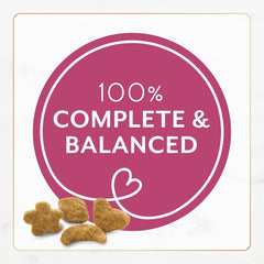 Purina Fancy Feast Dry Cat Food Filet Mignon Flavor with Seafood and Shrimp - (Pack of 4) 16 oz. Bags