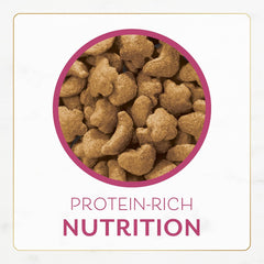 Purina Fancy Feast Dry Cat Food Filet Mignon Flavor with Seafood and Shrimp - (Pack of 4) 16 oz. Bags