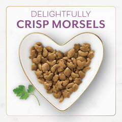 Purina Fancy Feast Dry Cat Food with Savory Farm-Raised Chicken and Turkey - (Pack of 4) 16 oz. Bags