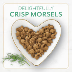 Purina Fancy Feast Dry Cat Food With Ocean Fish and Salmon - (Pack of 4) 16 oz. Bags