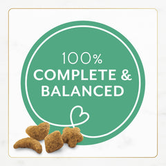 Purina Fancy Feast Dry Cat Food With Ocean Fish and Salmon - (Pack of 4) 16 oz. Bags