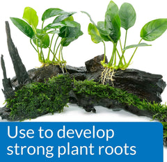 API 3 Pack Root Tabs Freshwater Aquarium Plant Fertilizer