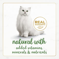 Purina Fancy Feast Grain Free Wet Cat Food Pate Variety Pack Gourmet Naturals–Beef, Chicken, Salmon, Trout and Tuna - (2 Packs of 12) 3 oz. Cans