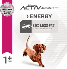 Eukanuba Fit Body Weight Control Small Breed Dry Dog Food