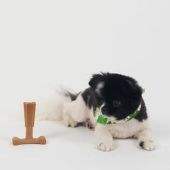 SPOT Bam-Bones Plus T Bone - Bamboo Fiber & Nylon, Durable Long Lasting Dog Chew for Aggressive Chewers – Great Toy forAdult Dogs & Teething Puppies Under 30lbs, Non-Splintering, Chicken Flavor