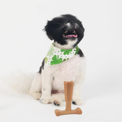 SPOT Bam-Bones Plus T Bone - Bamboo Fiber & Nylon, Durable Long Lasting Dog Chew for Aggressive Chewers – Great Toy forAdult Dogs & Teething Puppies Under 30lbs, Non-Splintering, Chicken Flavor