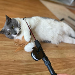 SPOT Fishing Rod 'N Reel Kitty Teaser - Cat Toy Fishing Pole Casts a Line Over 7 Feet with Working Reel Locks in Line When You Make Your Catch, Feather End Teases and Entices Cats to Pounce and Chase