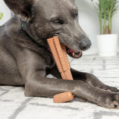 SPOT Bam-Bones Plus T Bone - Bamboo Fiber & Nylon, Durable Long Lasting Dog Chew for Aggressive Chewers – Great Toy for Adult Dogs & Teething Puppies Under 90lbs, Non-Splintering, 7in, Beef Flavor