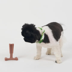 SPOT Bam-Bones Plus T Bone - Bamboo Fiber & Nylon, Durable Long Lasting Dog Chew for Aggressive Chewers – Great Toy for Adult Dogs & Teething Puppies Under 30lbs, Non-Splintering, 4in, Beef Flavor