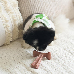 SPOT Bam-Bones Plus T Bone - Bamboo Fiber & Nylon, Durable Long Lasting Dog Chew for Aggressive Chewers – Great Toy for Adult Dogs & Teething Puppies Under 30lbs, Non-Splintering, 4in, Beef Flavor