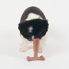 SPOT Bam-Bones Plus T Bone - Bamboo Fiber & Nylon, Durable Long Lasting Dog Chew for Aggressive Chewers – Great Toy for Adult Dogs & Teething Puppies Under 30lbs, Non-Splintering, 4in, Beef Flavor