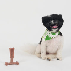 SPOT Bam-Bones Plus T Bone - Bamboo Fiber & Nylon, Durable Long Lasting Dog Chew for Aggressive Chewers – Great Toy for Adult Dogs & Teething Puppies Under 30lbs, Non-Splintering, 4in, Beef Flavor