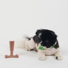 SPOT Bam-Bones Plus T Bone - Bamboo Fiber & Nylon, Durable Long Lasting Dog Chew for Aggressive Chewers – Great Toy for Adult Dogs & Teething Puppies Under 30lbs, Non-Splintering, 4in, Beef Flavor