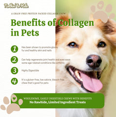 Fieldcrest Farms Nothin to Hide Flip Chips Chews for Dogs - All Natural Rawhide Alternative Treats for Dogs, Chicken, Beef or Peanut Butter Flavor Snack for All Breed Dogs (Chicken, 8.5 Oz)