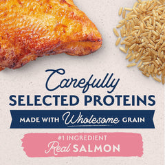 Natural Balance Limited Ingredient Adult Dry Dog Food with Healthy Grains, Salmon & Brown Rice Recipe