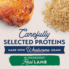 Natural Balance Limited Ingredient Puppy Dry Dog Food with Healthy Grains, Lamb & Brown Rice Recipe