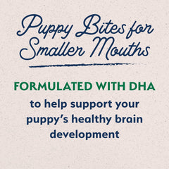 Natural Balance Limited Ingredient Puppy Dry Dog Food with Healthy Grains, Lamb & Brown Rice Recipe