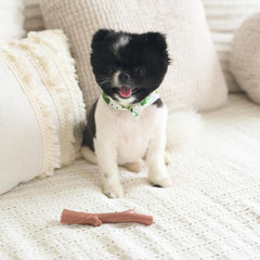 SPOT Bam-bones PLUS Branch -Bamboo Fiber & Nylon, Durable Long Lasting Dog Chew for Aggressive Chewers – Great Toy for Adult Dogs & Teething Puppies under 60lbs, Non-Splintering, Beef Flavor