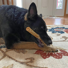 Fieldcrest Farms Nothing to Hide Natural Rawhide Alternative Large 10'' Rolls for Dogs - 2 Pack (Beef)