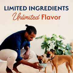 Natural Balance Limited Ingredient Small Breed Adult Grain-Free Dry Dog Food, Salmon & Sweet Potato Recipe
