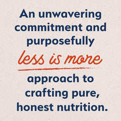 Natural Balance Limited Ingredient Adult Grain-Free Dry Dog Food, Salmon & Sweet Potato Recipe