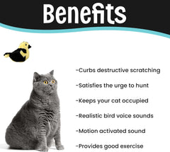 SPOT Song Birds Cat Toys - Touch Activated Singing Catnip Toy Mimics Real Bird Songs, Battery Operated Toy Satisfies Cat's Natural Urge to Hunt - One 5" Song Bird, Assorted Colors