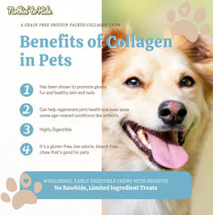 Fieldcrest Farms Nothing to Hide Natural Rawhide Alternative Large 10'' Rolls for Dogs - 2 Pack (Beef)