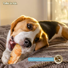 Fieldcrest Farms Nothing to Hide Natural Rawhide Alternative Large 10'' Rolls for Dogs - 2 Pack (Beef)